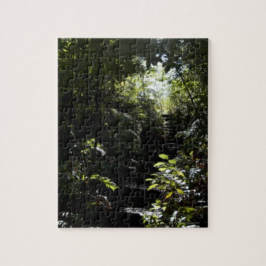 Robuuste trap/voetpad in bos, zonlicht legpuzzel (Verticaal)