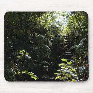 Robuuste trap/voetpad in bos, zonlicht muismat
