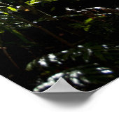 Robuuste trap/voetpad in bos, zonlicht poster (Hoek)