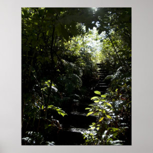 Robuuste trap/voetpad in bos, zonlicht poster