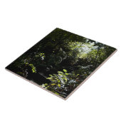 Robuuste trap/voetpad in bos, zonlicht tegeltje (Zijkant)