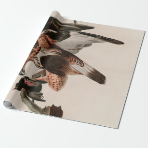 Robuuste valkvogels van Amerika Audubon Print Cadeaupapier