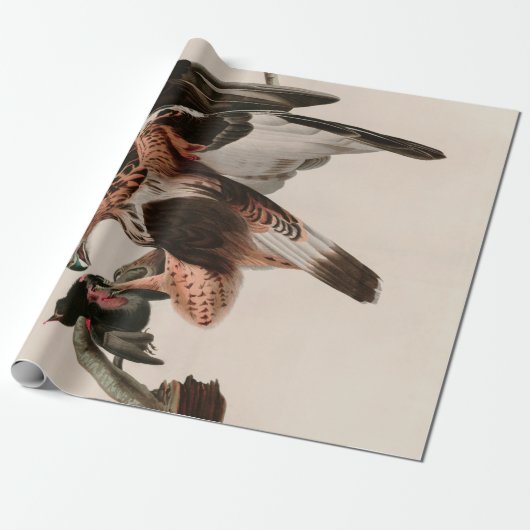 Robuuste valkvogels van Amerika Audubon Print Cadeaupapier (Uitgerold)