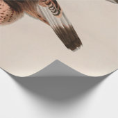 Robuuste valkvogels van Amerika Audubon Print Cadeaupapier (Hoek)