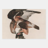 Robuuste valkvogels van Amerika Audubon Print Inpakpapier Vel (Voorkant 3)