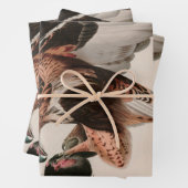 Robuuste valkvogels van Amerika Audubon Print Inpakpapier Vel (In situ)
