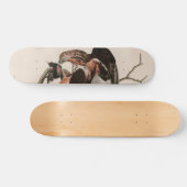 Robuuste valkvogels van Amerika Audubon Print Persoonlijk Skateboard (Horizontaal)