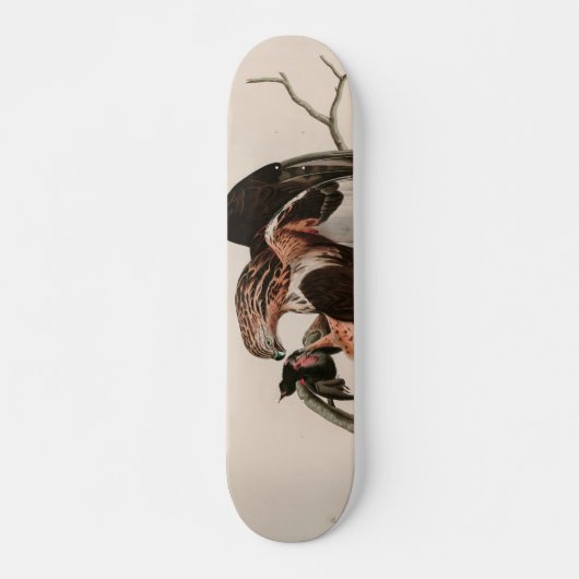 Robuuste valkvogels van Amerika Audubon Print Persoonlijk Skateboard (Voorkant)