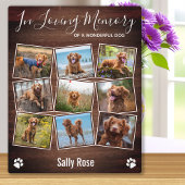 Robuuste verfprinters in het liefhebben van Memory Fotoplaat