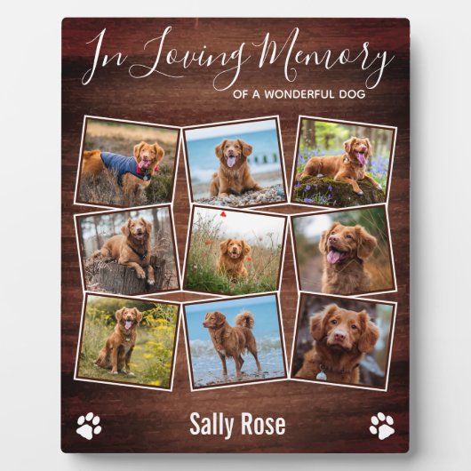 Robuuste verfprinters in het liefhebben van Memory Fotoplaat (Voorkant)