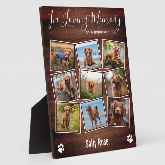 Robuuste verfprinters in het liefhebben van Memory Fotoplaat (Zijkant)