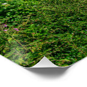 Rochdale Canal, Luddendenfoot Perfect Poster (Hoek)