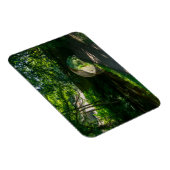 Rochdale Canal, Sowerby Bridge Magneet (Rechterzijde)