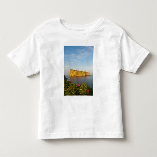 Rocher Perce (Perce Rock), Quebec, Canada. Kinder Shirts (Voorkant)