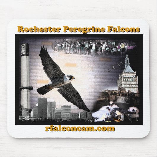 Rochester falcons mousepad muismat (Voorkant)