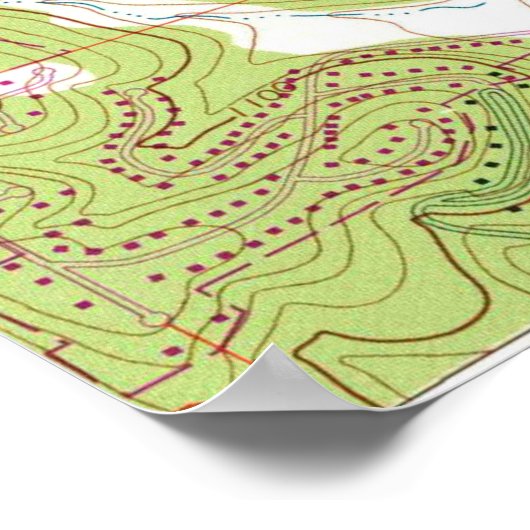 Rochester Michigan Map (1972) Poster (Hoek)