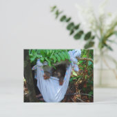 Rock a Dag Baby Orangutan Briefkaart (Staand voorkant)