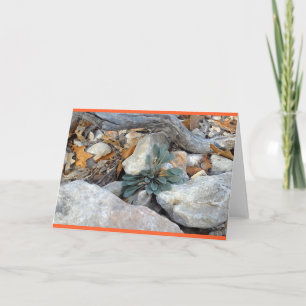 Rock Art #5 Kaart