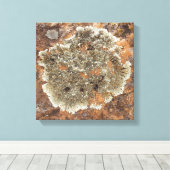 Rock Art - The Art in Natuur Canvas Afdruk (Insitu (Houten vloer))