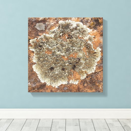 Rock Art - The Art in Natuur Canvas Afdruk (Insitu (Houten vloer))