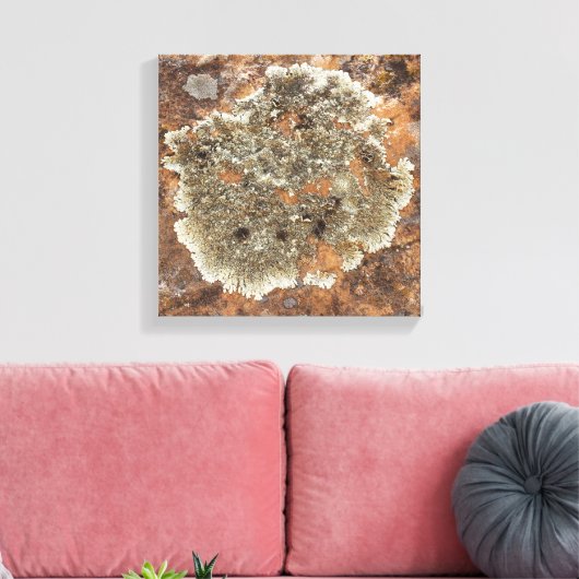 Rock Art - The Art in Natuur Canvas Afdruk (Insitu (Woonkamer))