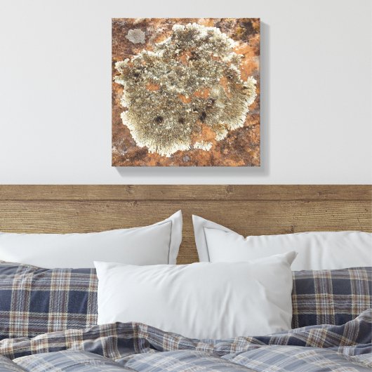 Rock Art - The Art in Natuur Canvas Afdruk (Insitu (Slaapkamer))