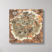 Rock Art - The Art in Natuur Canvas Afdruk (Voorkant)