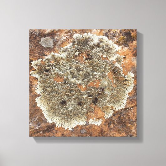 Rock Art - The Art in Natuur Canvas Afdruk (Voorkant)