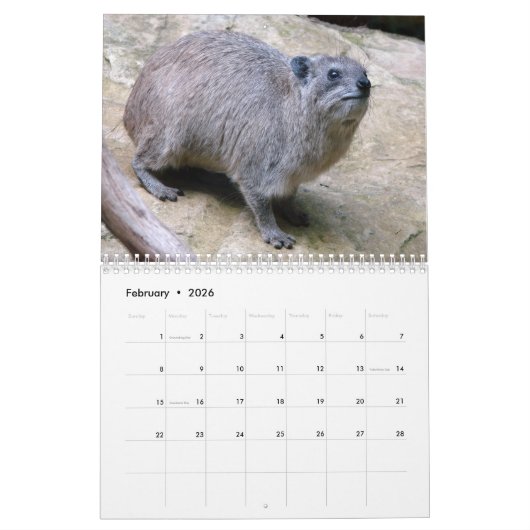 Rock Badger Kalender (Feb 2026)