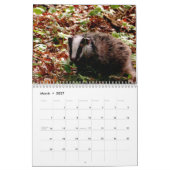 Rock Badger Kalender (Mar 2027)