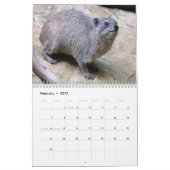 Rock Badger Kalender (Feb 2027)