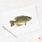 Rock Bass - Red Eye Ovale Sticker (Envelop)