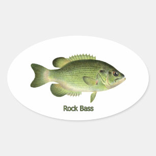 Rock Bass - Redeye Ovale Sticker