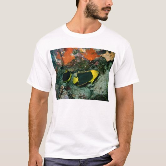 Rock Beauties T-shirt (Voorkant)