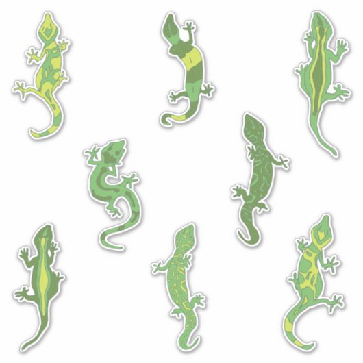 Rock beklimt Geckos. Sticker (Voorkant)