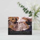 Rock Cascade Photo Briefkaart (Staand voorkant)