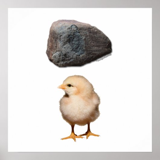 Rock + Chick Poster (Voorkant)