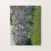 Rock Cliff Wall Cattails Pond Natuur Legpuzzel (Verticaal)