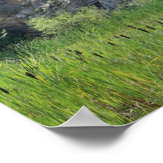Rock Cliff Wall Cattails Pond Natuur Poster (Hoek)