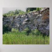 Rock Cliff Wall Cattails Pond Natuur Poster (Voorkant)