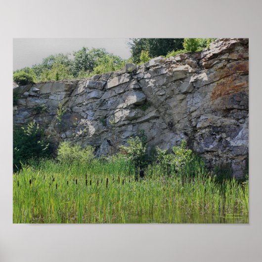 Rock Cliff Wall Cattails Pond Natuur Poster (Voorkant)