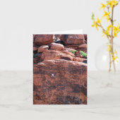 Rock Climber Verjaardag Kaart (Gele Bloem)