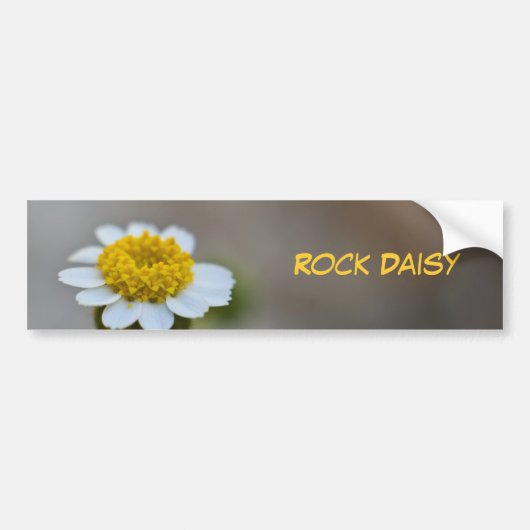 Rock Daisy Bumpersticker (Voorkant)