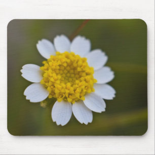 Rock Daisy Mousepad Muismat