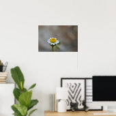 Rock Daisy Poster (Thuiskantoor)