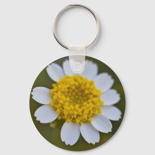Rock Daisy Sleutelhanger (Voorkant)