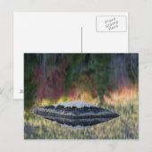 Rock- en boomreflectie, Lily Pond, White Briefkaart (Voorkant / Achterkant)