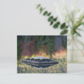Rock- en boomreflectie, Lily Pond, White Briefkaart (Staand voorkant)