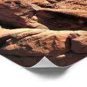 Rock Fins Poster (Hoek)