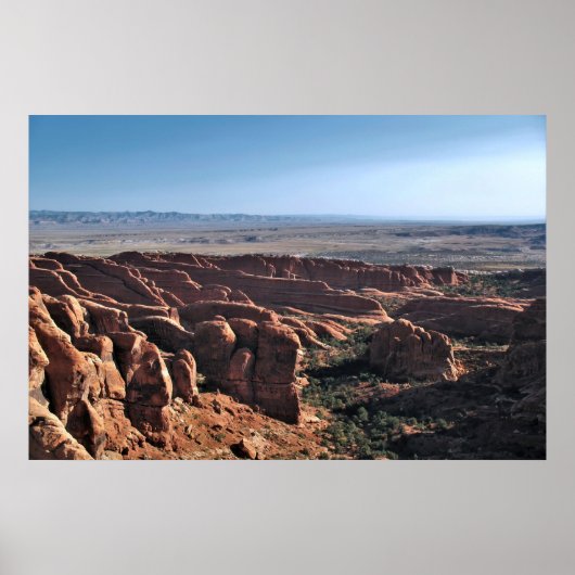 Rock Fins Poster (Voorkant)